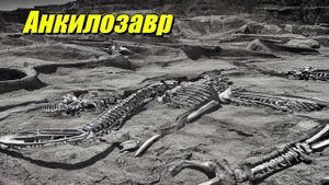 Анкилозавр
