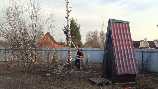 Вырубка деревьев и кустарников с участка в загородном