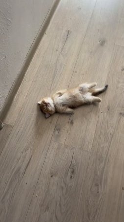 Мои планы на выходные