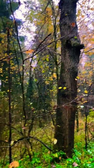 Мы все надеемся на завтра… Но у нас всегда есть только смотреть онлайн