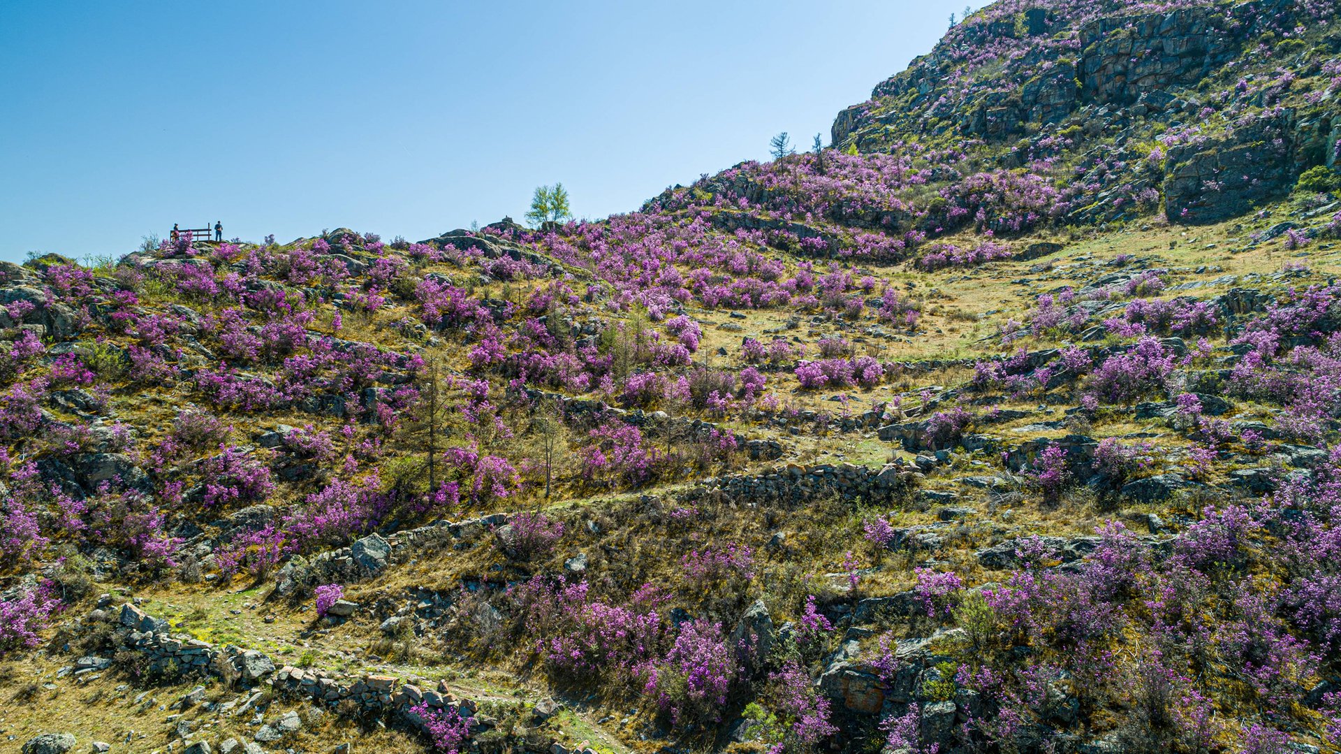 Весна в Горном Алтае смотреть онлайн