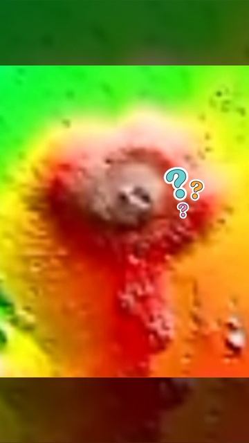 Есть ли жизнь на Марсе? #марс #shorts #наука смотреть онлайн