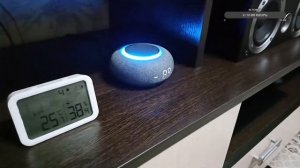 Беседа о гаджетах! Умная колонка Маруся! Так ли она хороша?