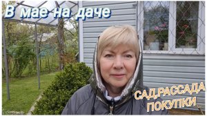 На даче мерзнем.Что с РАССАДОЙ.Хотели в СВЕТОФОР попали в ЧЕСНОК и ЧИЖИК.ПОКУПКИ