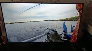 Как смотреть на смарт ТВ дзен. Видео инструкция. Подпи?