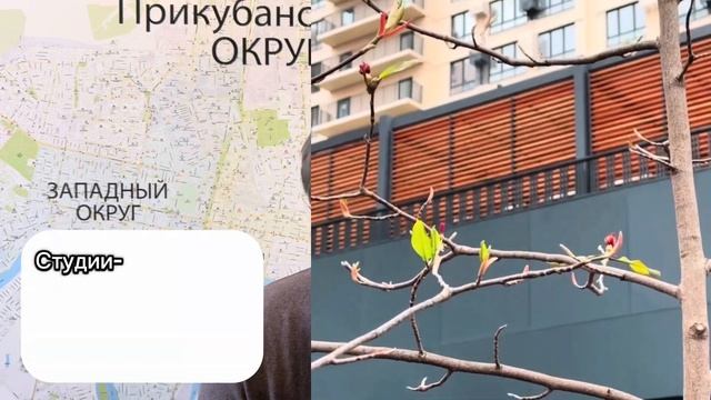 Цены на НОВОСТРОЙКИ в центре Краснодара. Недвижимость