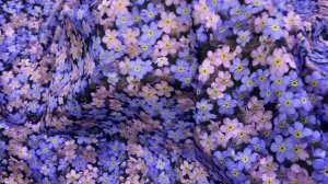 Батист арт 14285