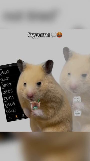 Тоже есть такие преподаватели? #универ #школа #юмор #ст? смотреть онлайн