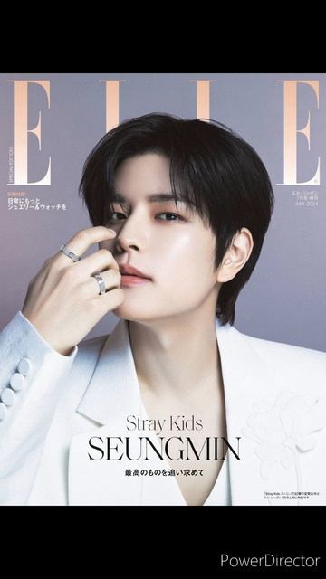 Elle Japan анонсировали выход специального выпуска с Сынм? смотреть онлайн