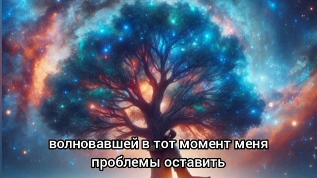 Как я не посадил своё дерево. Или что делать, когда вы т