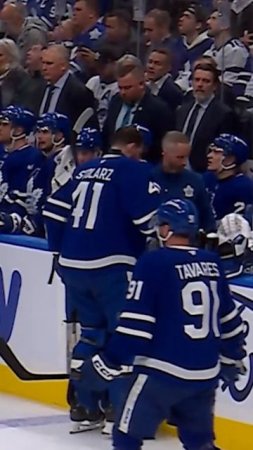 Anthony Stolarz Vomiting On The Maple Leafs Bench