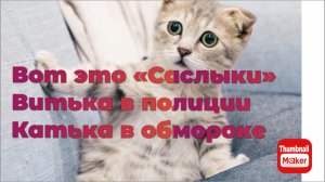 Всё в кучу. Пикник у Головизниных удался!