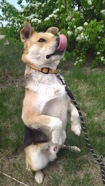 БШО: Любимые блюда моих друзей🍇. И да у меня есть свой смотреть онлайн