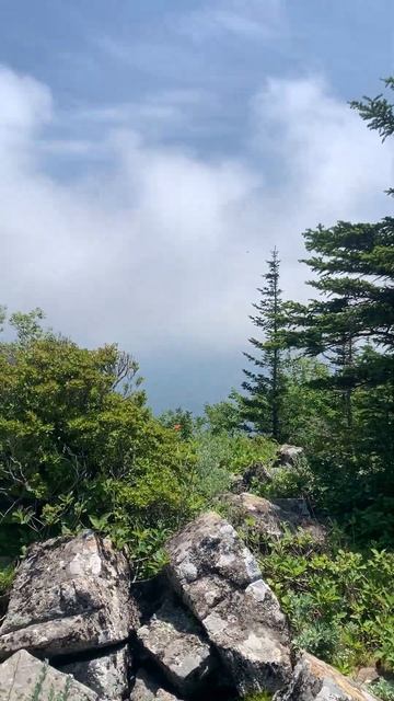 Россыпи гора. Приморский край. смотреть онлайн