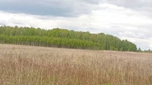 деревенские будни