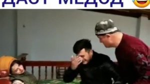 Приколхои точики