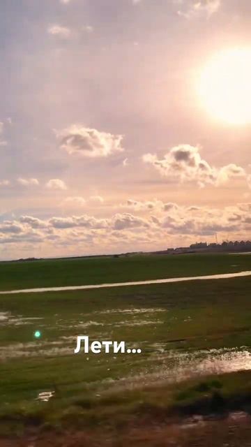 Сергей Дорошенко «Лети» #музыка #песни #сергейдорошен? смотреть онлайн