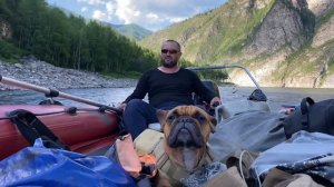 Vlog 1. Французский бульдог на рыбалке  г.#mountains #nature #fishing #река #енисей #сплавпореке