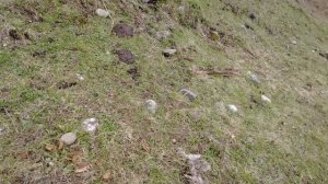 Отправил запах в космос! Субботник на косогоре. Жизнь в деревне после переезда.