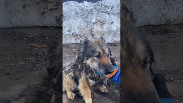 Велик, Великаша или просто ВЕЛИК!