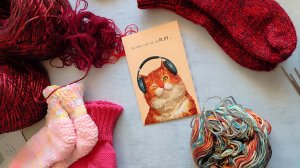 СП "Носочная дюжина 3" / СТАРТ 4 /  носочки из секционной пряжи, не подбирая секции