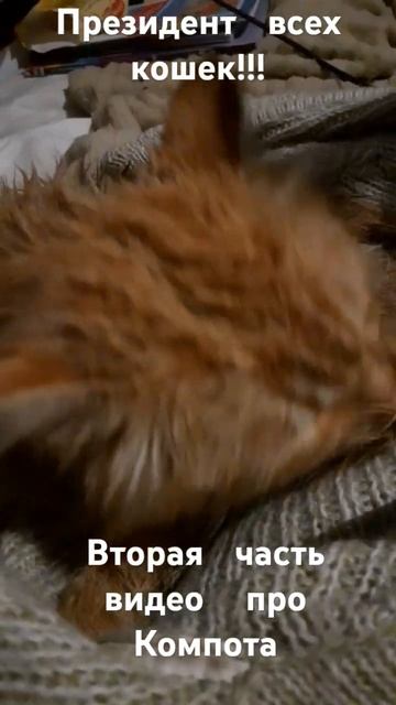 2 часть про видео Компота смотреть онлайн