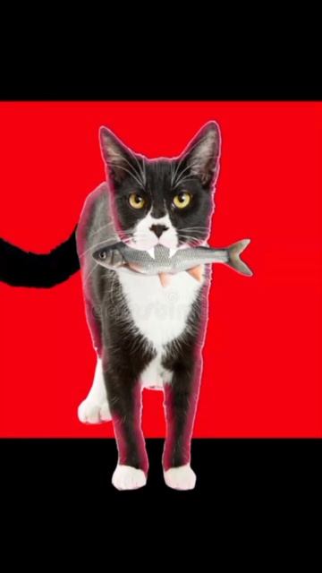 Идея из тт, извините если там в тексте какая-то ошибка ? смотреть онлайн