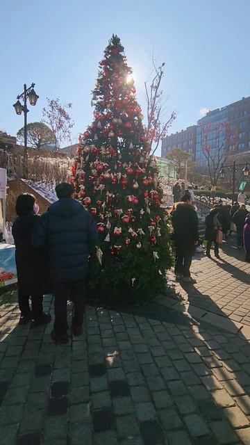 Рождественская ель, Собор Мендон, Сеул смотреть онлайн