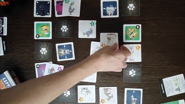 Карманные кошки 🦊 детская настольная игра: обзор и ле
