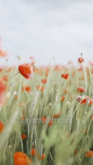 Всё Есть Бог | ANAR DREAMS 💎 #осознанность #духовность #само смотреть онлайн