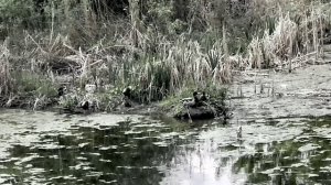 Оренбург Экологическая тропа  Прогулка 10 мая Видео Виктор Поживин
