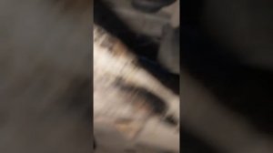 Замена пыльников внутренних гранат Киа Рио 2