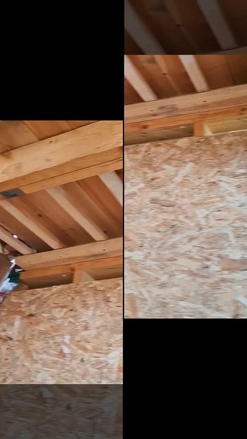 1000023444.mp4 (Собака смотрит на каркас для э/кабелей, установленный в доме А-фрейм)