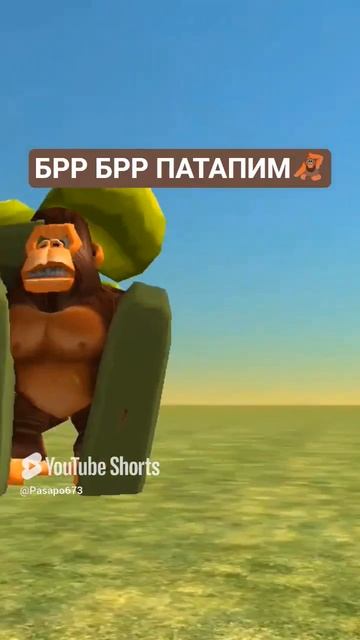 БРР БРР ПАТАПИМ
