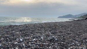 Веб камера Сочи море