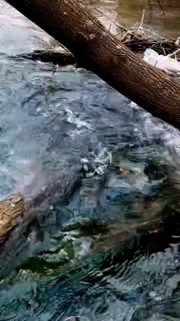 В прошлом году реконструировали мост через речку, схо? смотреть онлайн