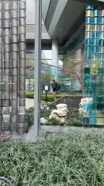 Зеленый сад внутри аэропорта Чэнду #lofi #chengdu #путешеств смотреть онлайн