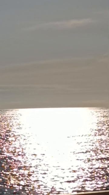 Antonia Amor #море #музыка #сочи #love смотреть онлайн