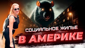 Социальное жилье в Нью Йорке: КРЫСЫ, Решетки и БЕДНОСТЬ. Вся правда о жизни в БРУКЛИНЕ #америка