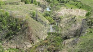 10 мая пруд 1