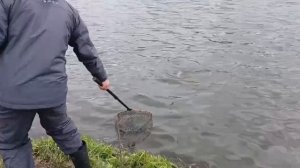 Немного с водоёма !