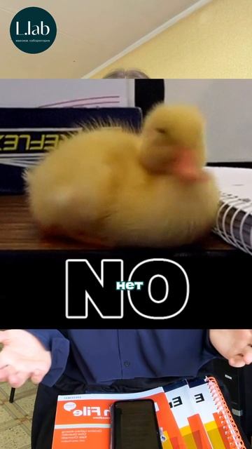 ЗНАЧЕНИЯ СЛОВА «FINE» смотреть онлайн