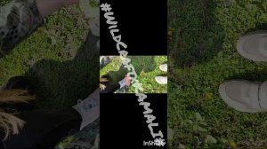 Клип у нее красные глаза видео мое!