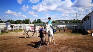 ВЕРХОВАЯ ЕЗДА ( ГАЛОП/КАВАЛЕТТИ) 🏇 16 ЗАНЯТИЕ 🏇