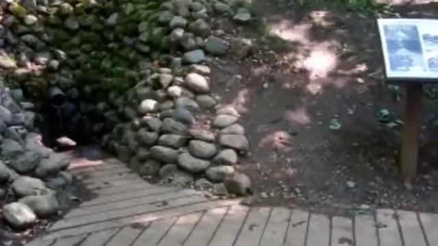 Чойхои зебо дар. Шахри Санкт-Петербург смотреть онлайн