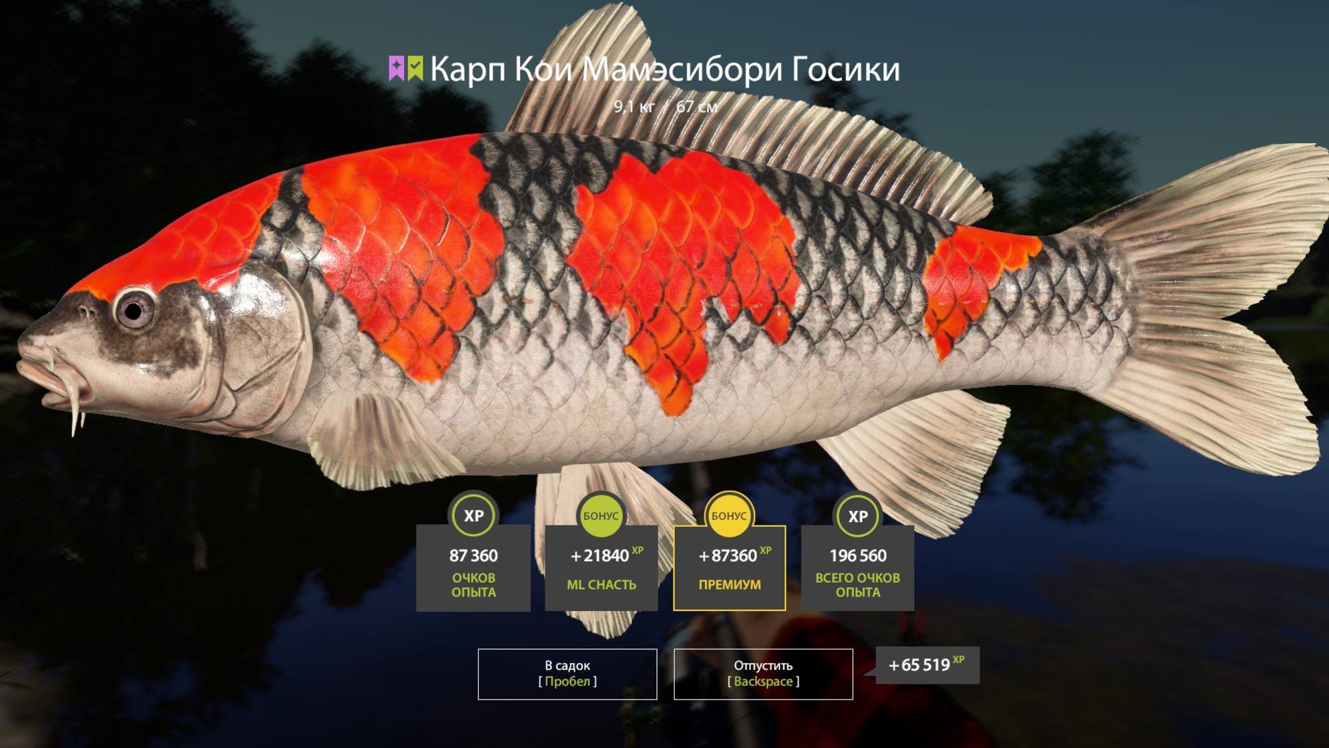 НОВАЯ ОТЛИЧНАЯ ТОЧКА С КАРАСЕКАРПОМ И КОИ ДЛЯ ФАРМА НА МЕДНОМ В РУССКОЙ РЫБАЛКЕ 4 РР4