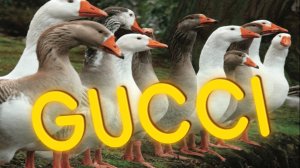 ПРИКОЛЫ ОТ ЧЕЛОЗАВРА 2025 / GUCCI / СМЕШНЫЕ ВИДЕО / МЕМЫ