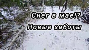 Выпал снег! Валим деревья! Заменили окна на пластиковые.