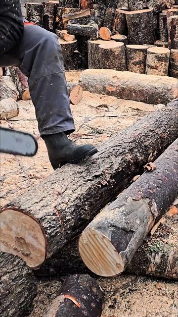 Oleo-mac gs650 хөрөө ашиглан түлээ зүсэх ажил смотреть онлайн