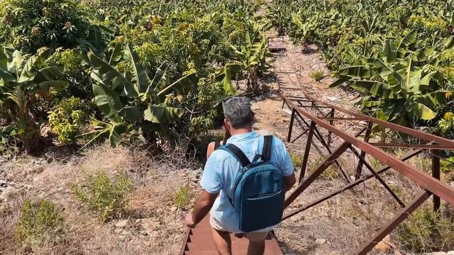 Бизнес : Манговые плантации в Турции. Как заработать н? смотреть онлайн